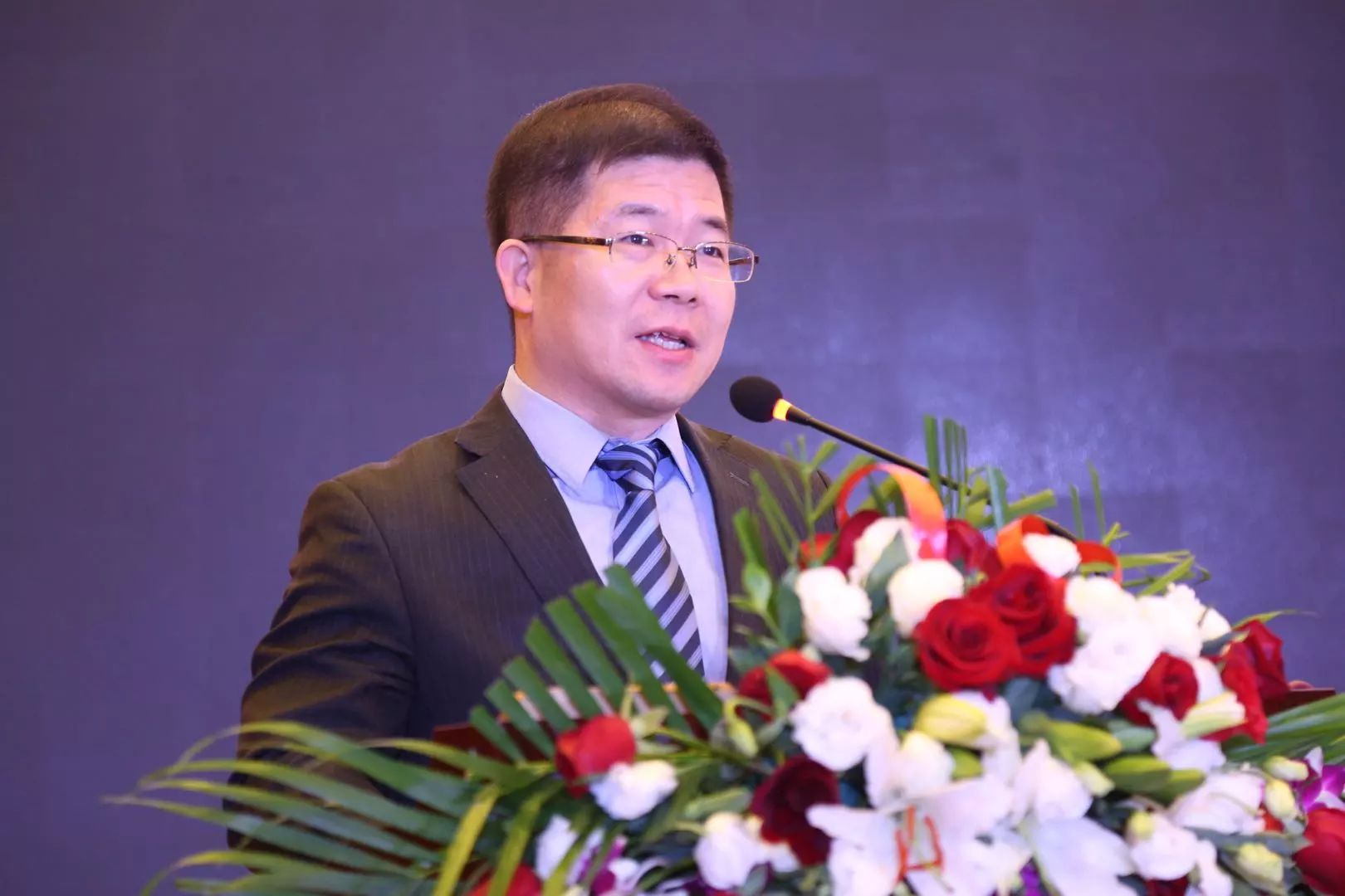 十大紫阳富硒茶产地排名(紫阳富硒茶哪里产的最好)-硒宝网