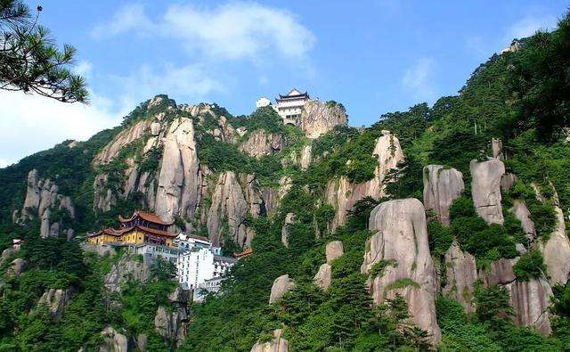 池州仙寓山富硒野茶怎样(仙寓山富硒野茶多少钱一斤)-硒宝网