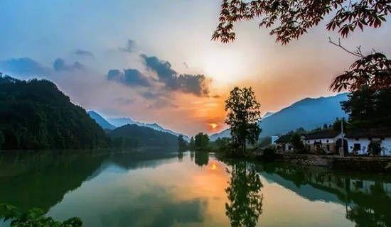 池州仙寓山富硒野茶怎样(仙寓山富硒野茶多少钱一斤)-硒宝网