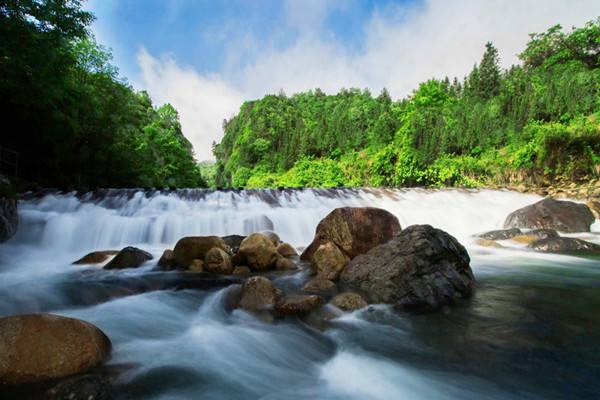 池州仙寓山富硒野茶怎样(仙寓山富硒野茶多少钱一斤)-硒宝网