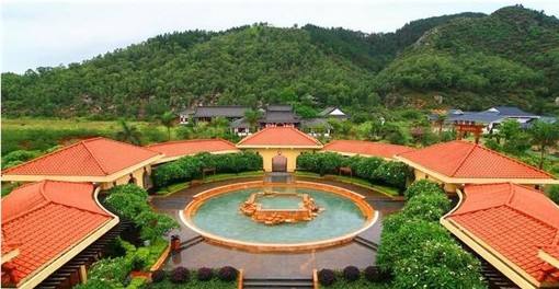 池州仙寓山富硒野茶怎样(仙寓山富硒野茶多少钱一斤)-硒宝网