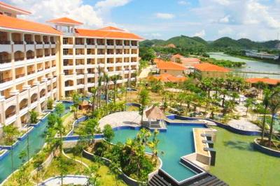 池州仙寓山富硒野茶怎样(仙寓山富硒野茶多少钱一斤)-硒宝网