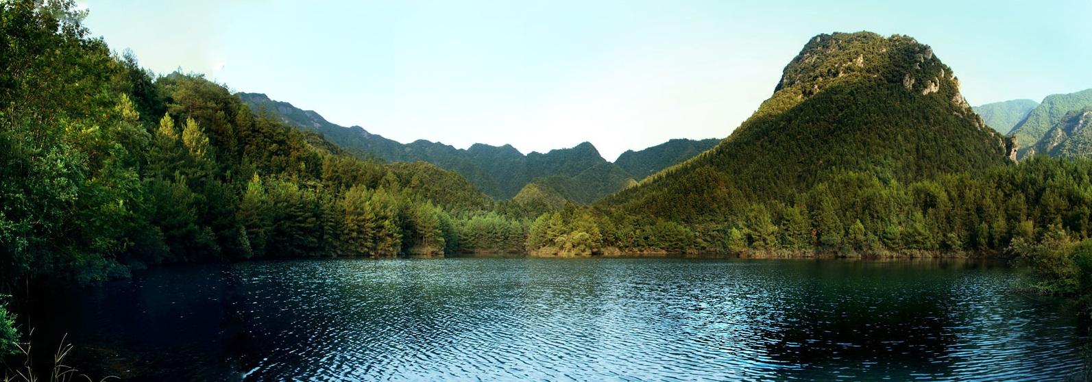 池州仙寓山富硒野茶怎样(仙寓山富硒野茶多少钱一斤)-硒宝网