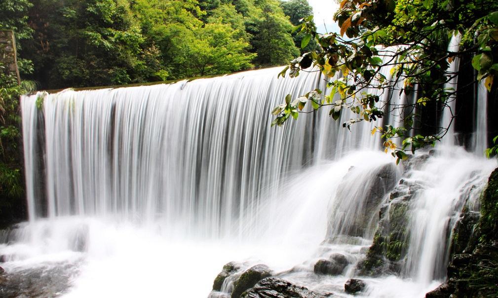 池州仙寓山富硒野茶怎样(仙寓山富硒野茶多少钱一斤)-硒宝网