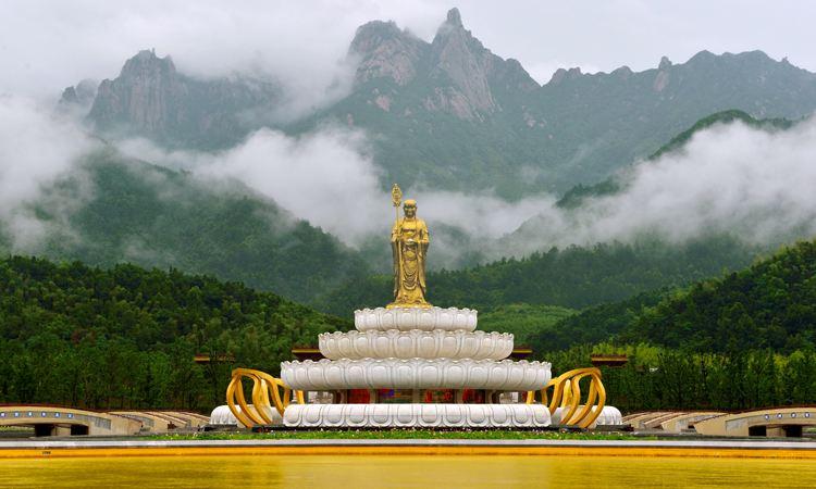 池州仙寓山富硒野茶怎样(仙寓山富硒野茶多少钱一斤)-硒宝网