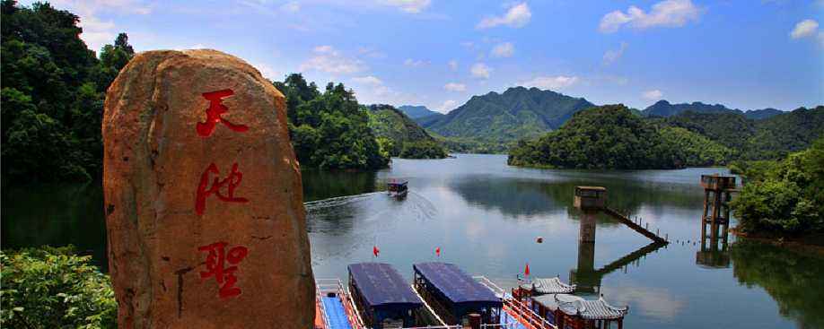 池州仙寓山富硒野茶怎样(仙寓山富硒野茶多少钱一斤)-硒宝网