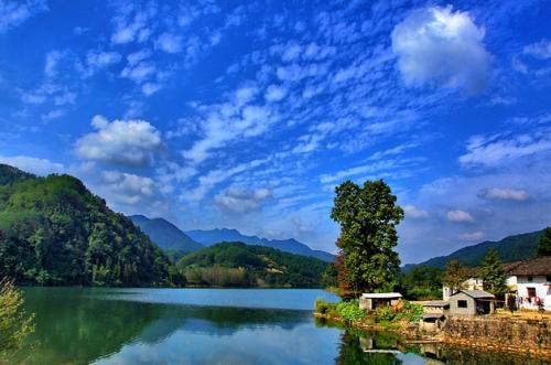 池州仙寓山富硒野茶怎样(仙寓山富硒野茶多少钱一斤)-硒宝网