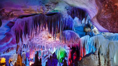 池州仙寓山富硒野茶怎样(仙寓山富硒野茶多少钱一斤)-硒宝网