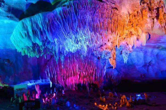 池州仙寓山富硒野茶怎样(仙寓山富硒野茶多少钱一斤)-硒宝网