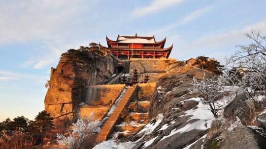 池州仙寓山富硒野茶怎样(仙寓山富硒野茶多少钱一斤)-硒宝网