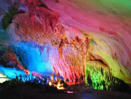 池州仙寓山富硒野茶怎样(仙寓山富硒野茶多少钱一斤)-硒宝网