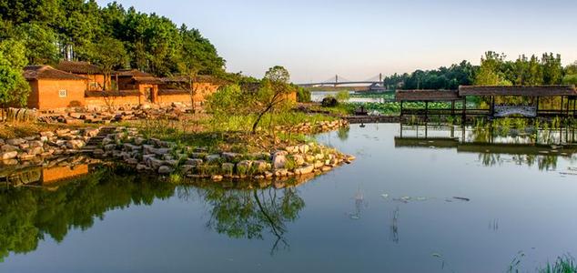 池州仙寓山富硒野茶怎样(仙寓山富硒野茶多少钱一斤)-硒宝网