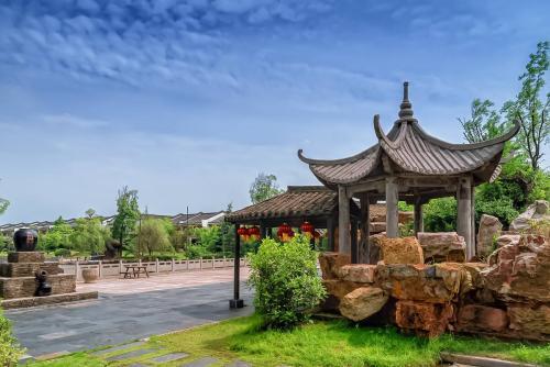 池州仙寓山富硒野茶怎样(仙寓山富硒野茶多少钱一斤)-硒宝网