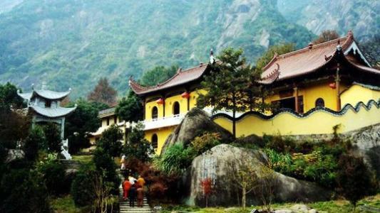 池州仙寓山富硒野茶怎样(仙寓山富硒野茶多少钱一斤)-硒宝网