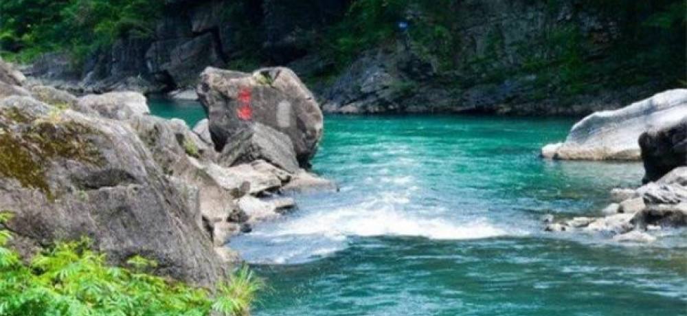 池州仙寓山富硒野茶怎样(仙寓山富硒野茶多少钱一斤)-硒宝网