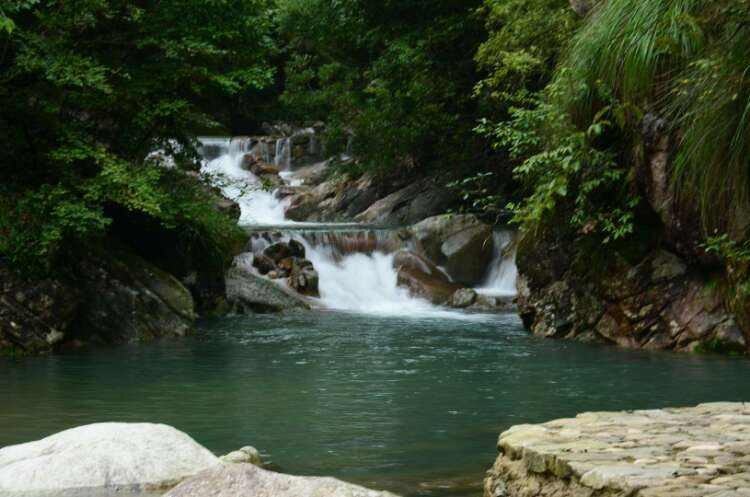 池州仙寓山富硒野茶怎样(仙寓山富硒野茶多少钱一斤)-硒宝网