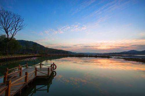 池州仙寓山富硒野茶怎样(仙寓山富硒野茶多少钱一斤)-硒宝网