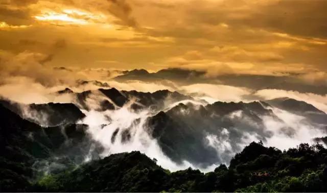 池州仙寓山富硒野茶怎样(池州仙寓山民宿)-硒宝网