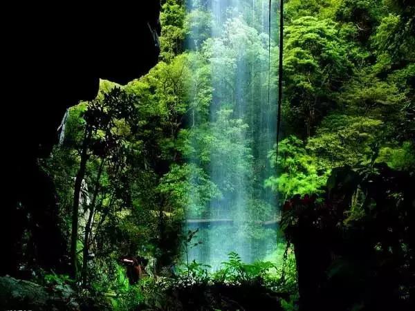 池州仙寓山富硒野茶怎样(池州仙寓山民宿)-硒宝网