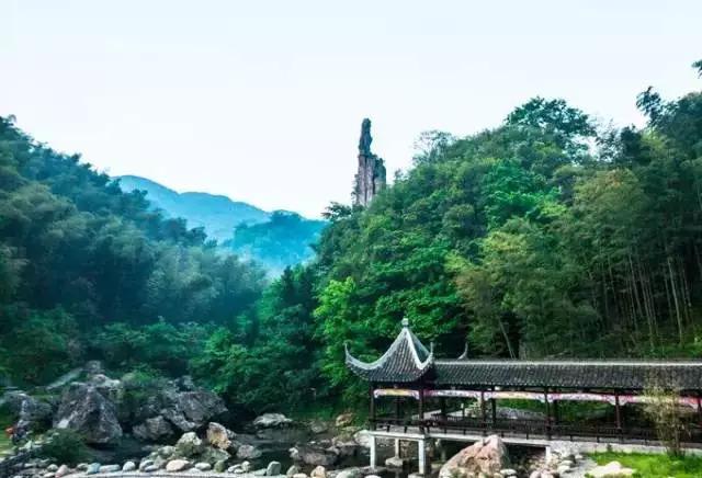 池州仙寓山富硒野茶怎样(池州仙寓山民宿)-硒宝网