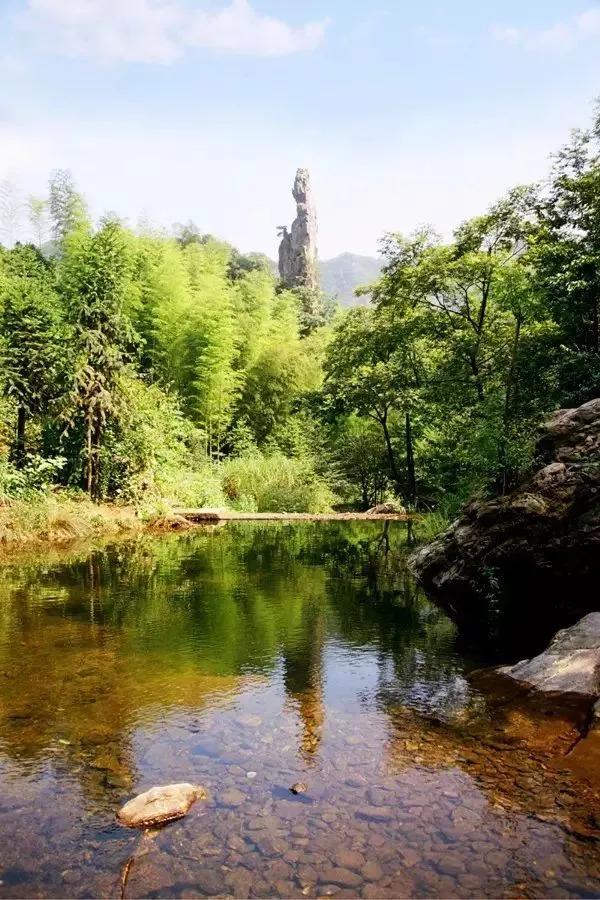 池州仙寓山富硒野茶怎样(池州仙寓山民宿)-硒宝网