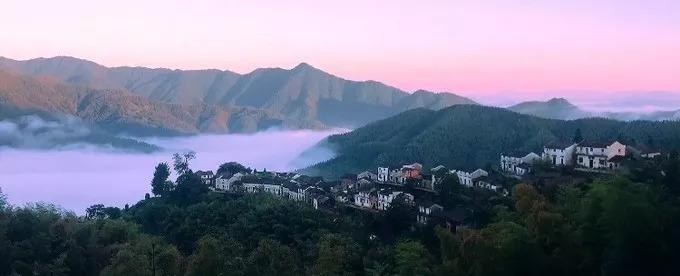 池州仙寓山富硒野茶怎样(池州仙寓山民宿)-硒宝网