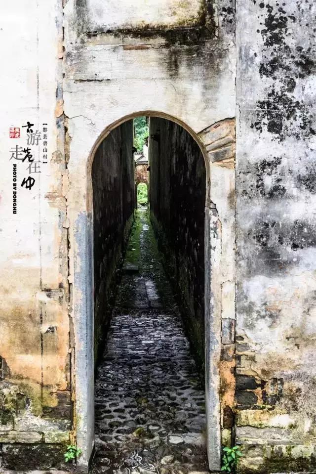 池州仙寓山富硒野茶怎样(池州仙寓山民宿)-硒宝网