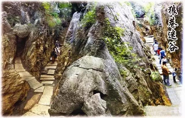 池州仙寓山富硒野茶怎样(池州仙寓山民宿)-硒宝网