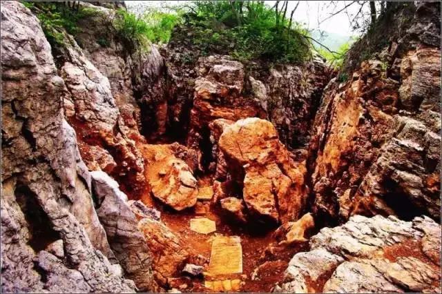 池州仙寓山富硒野茶怎样(池州仙寓山民宿)-硒宝网