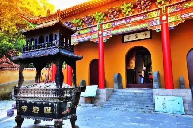 池州仙寓山富硒野茶怎样(池州仙寓山民宿)-硒宝网