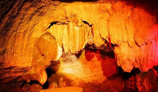 池州仙寓山富硒野茶怎样(池州仙寓山民宿)-硒宝网