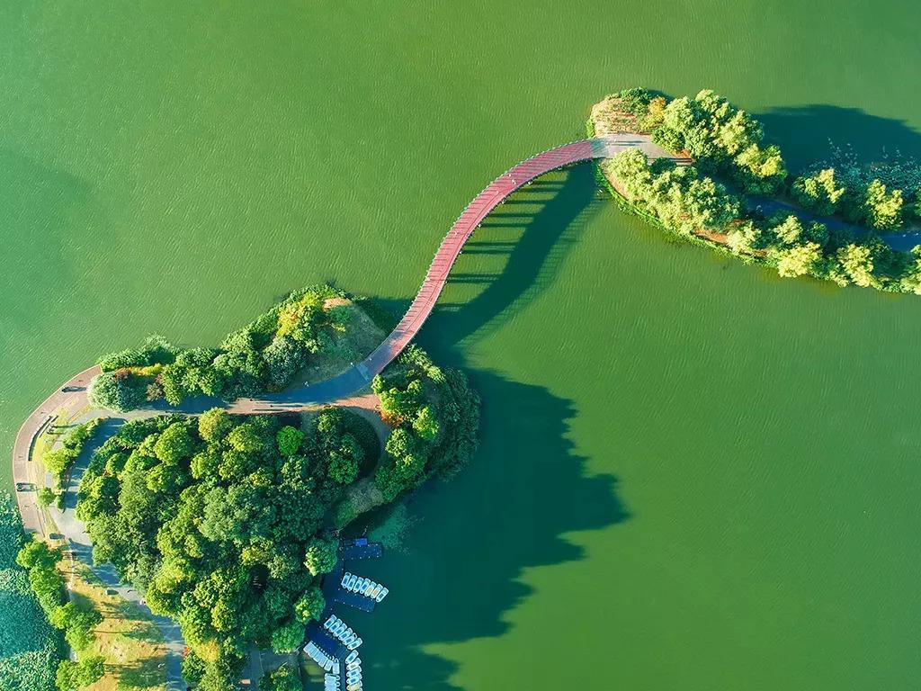 池州仙寓山富硒野茶怎样(池州仙寓山民宿)-硒宝网