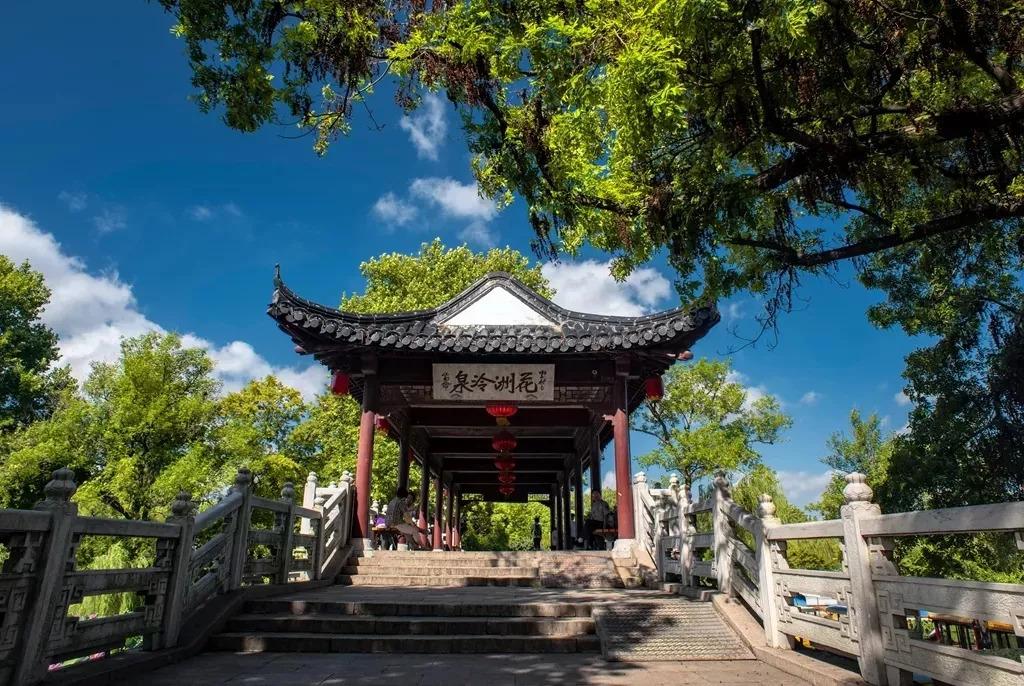 池州仙寓山富硒野茶怎样(池州仙寓山民宿)-硒宝网