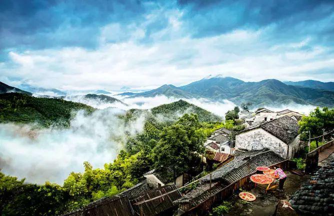 池州仙寓山富硒野茶怎样(池州仙寓山民宿)-硒宝网