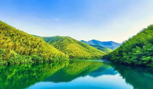 池州仙寓山富硒野茶怎样(池州仙寓山民宿)-硒宝网