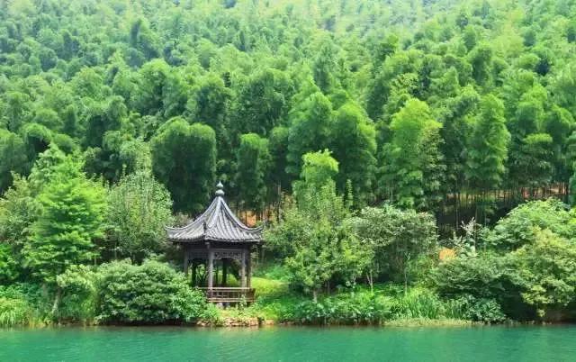 池州仙寓山富硒野茶怎样(池州仙寓山民宿)-硒宝网