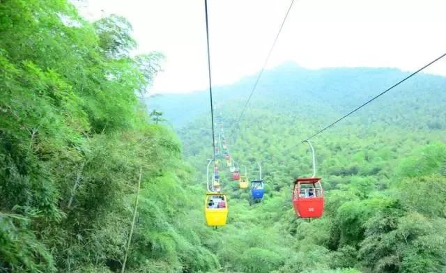 池州仙寓山富硒野茶怎样(池州仙寓山民宿)-硒宝网