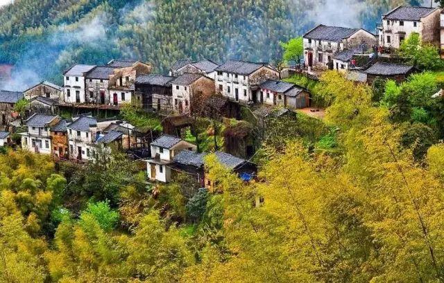 池州仙寓山富硒野茶怎样(池州仙寓山民宿)-硒宝网