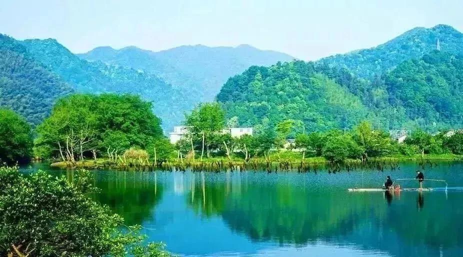 池州仙寓山富硒野茶怎样(池州仙寓山民宿)-硒宝网