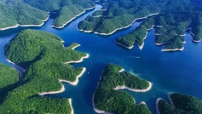 池州仙寓山富硒野茶怎样(池州仙寓山民宿)-硒宝网