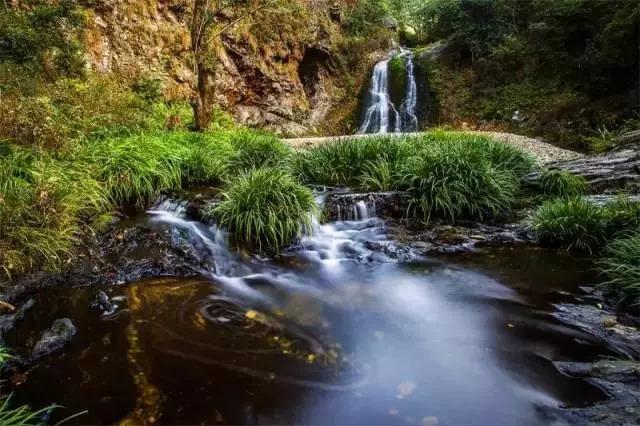池州仙寓山富硒野茶怎样(池州仙寓山民宿)-硒宝网