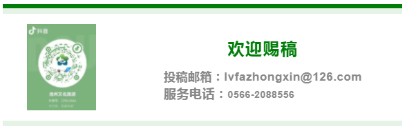 石台县高山富硒茶的功效(高山硒茶价格)-硒宝网