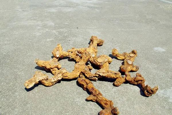 石台县高山富硒茶的功效（高山富硒茶多少钱一斤）-硒宝网