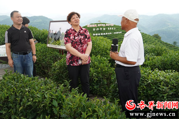 安康富硒茶发展史介绍图（安康富硒茶是什么茶）-硒宝网
