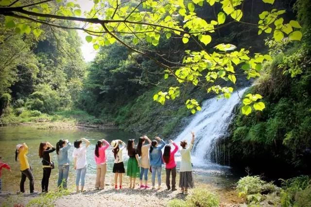 仙寓山富硒野生茶多少钱（仙寓山富硒野茶多少钱一斤）-硒宝网