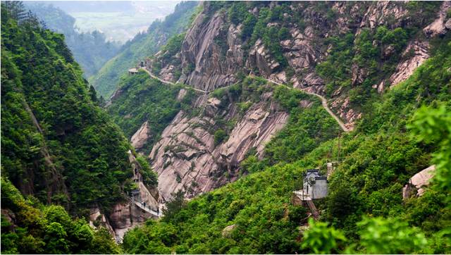 仙寓山富硒野生茶多少钱（仙寓山富硒野茶多少钱一斤）-硒宝网
