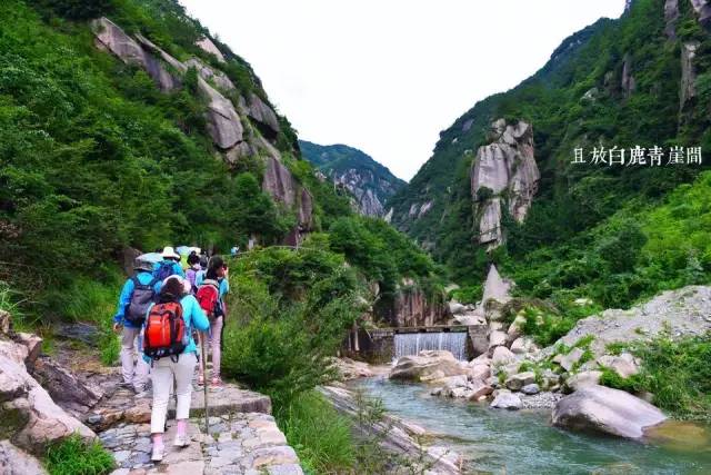 仙寓山富硒野生茶多少钱（仙寓山富硒野茶多少钱一斤）-硒宝网