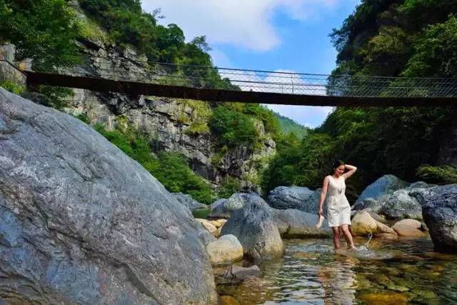 仙寓山富硒野生茶多少钱（仙寓山富硒野茶多少钱一斤）-硒宝网