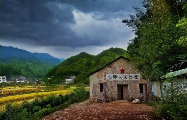 仙寓山富硒野生茶多少钱（仙寓山富硒野茶多少钱一斤）-硒宝网