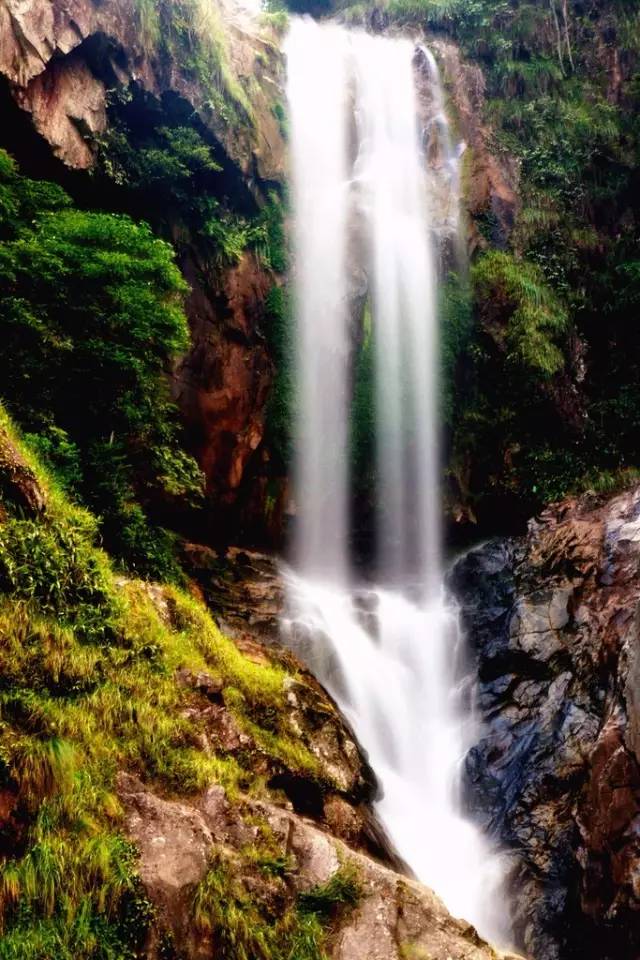 仙寓山富硒野生茶多少钱（仙寓山富硒野茶多少钱一斤）-硒宝网